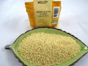 Millet, céréales, sans gluten, naturopathie rennes, alimentation saine et naturelle rennes, alimentation équilibrée rennes, hygiène de vie rennes, alimentation végétarienne rennes